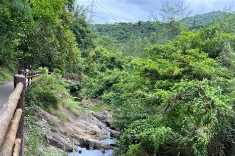 深圳的山|深圳十大名山 深圳最有名的山峰 值得爬的深圳名山排行。